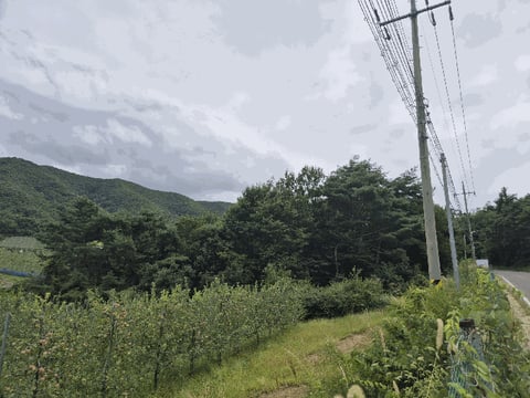 물건 사진 27