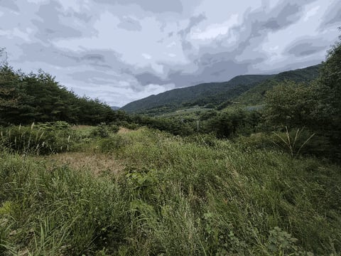 물건 사진 29
