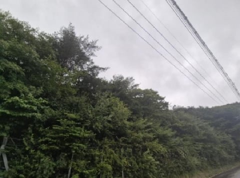 물건 사진 7