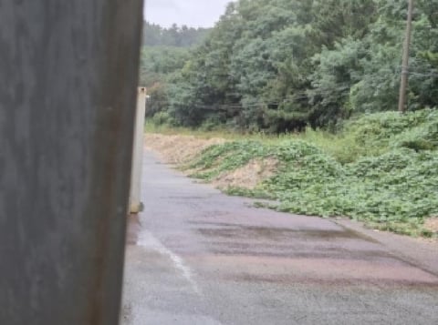 물건 사진 2