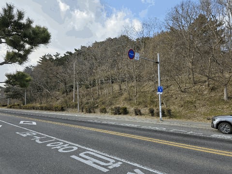 물건 사진 16