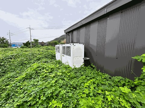물건 사진 30