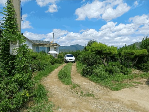물건 사진 11