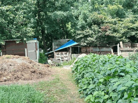 물건 사진 14