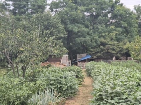 물건 사진 6