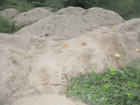 물건 사진 12
