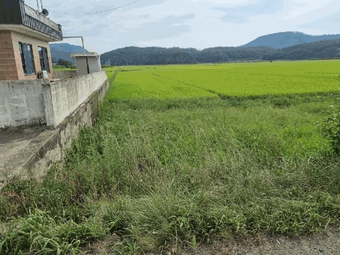 물건 사진 20