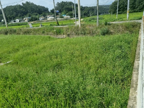 물건 사진 22