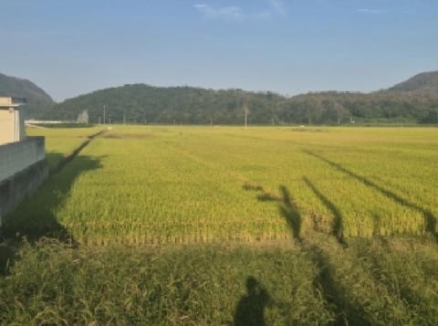 물건 사진 7