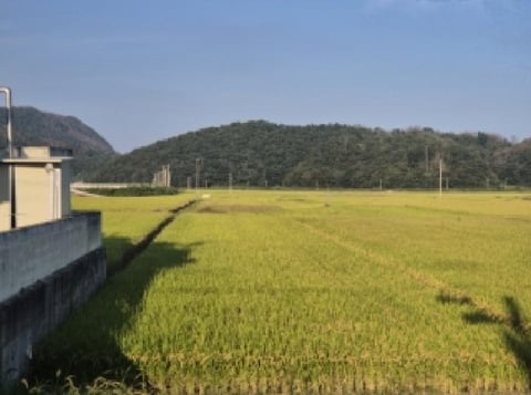물건 사진 8