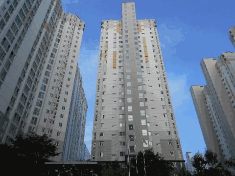 물건 사진 91