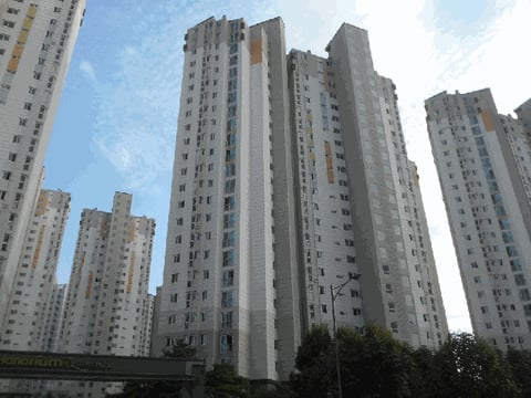 물건 사진 93
