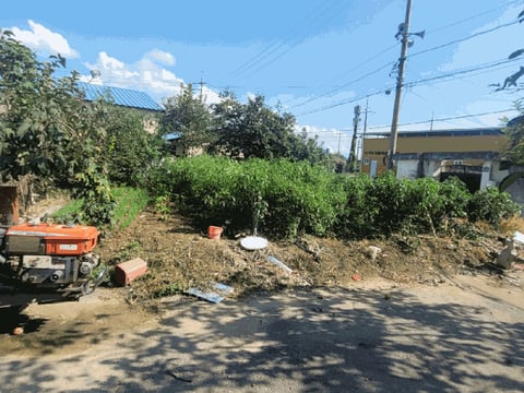 물건 사진 12