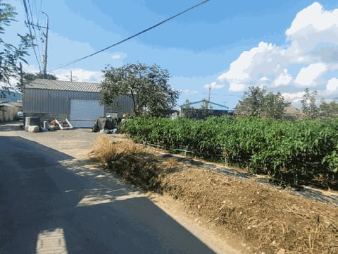 물건 사진 8
