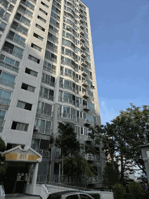 물건 사진 12