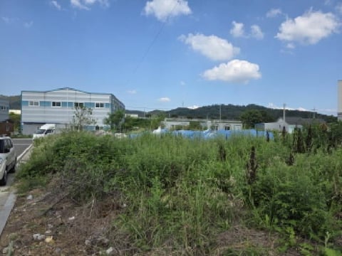 물건 사진 1