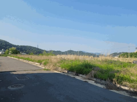 물건 사진 12