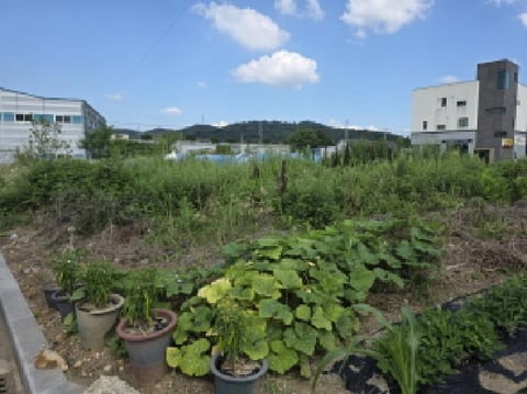 물건 사진 3