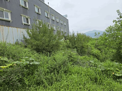 물건 사진 19