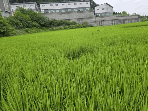 물건 사진 22