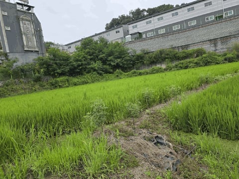 물건 사진 17