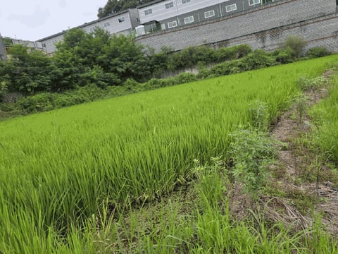 물건 사진 31
