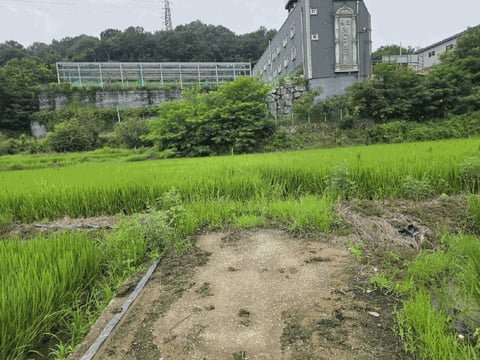 물건 사진 42