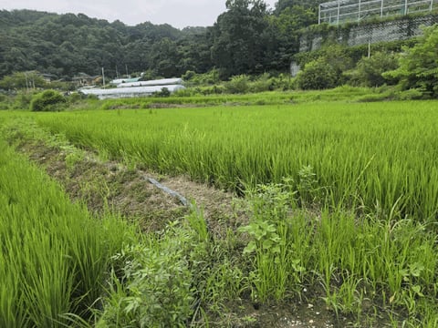 물건 사진 49