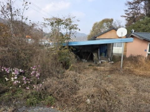 물건 사진 2