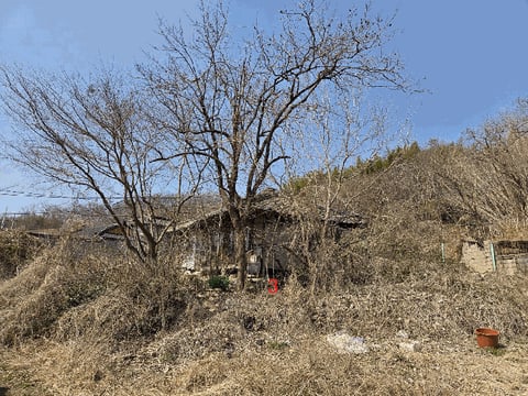 물건 사진 20