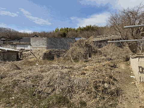 물건 사진 24