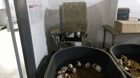 물건 사진 35