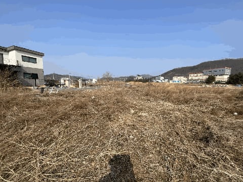 물건 사진 5