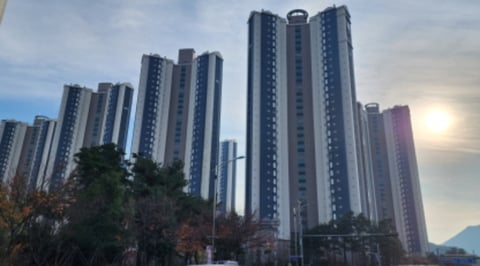 물건 사진 1