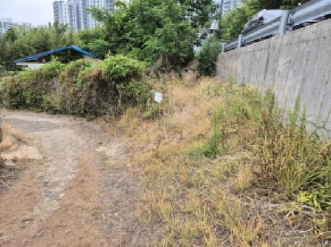 물건 사진 5