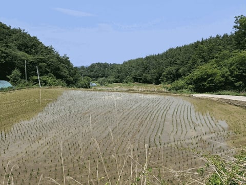 물건 사진 11