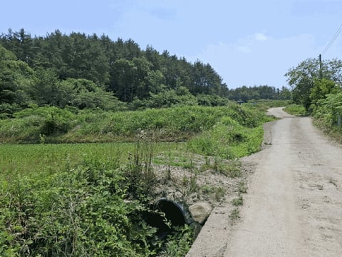 물건 사진 9