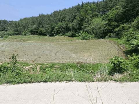 물건 사진 10