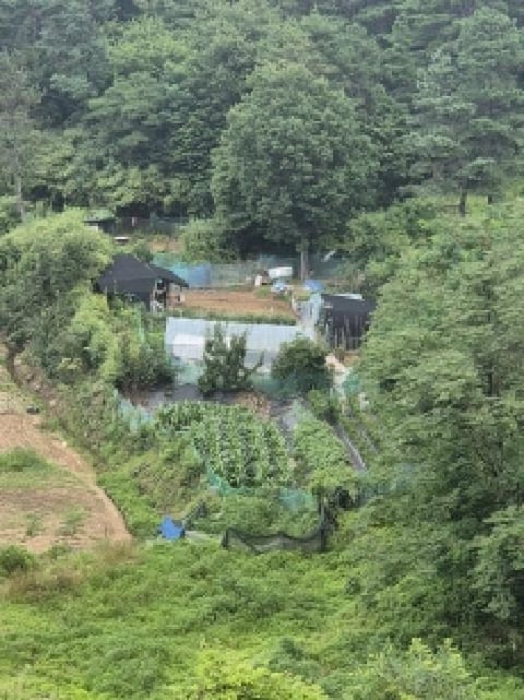 물건 사진 14
