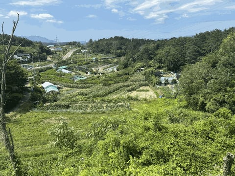 물건 사진 21