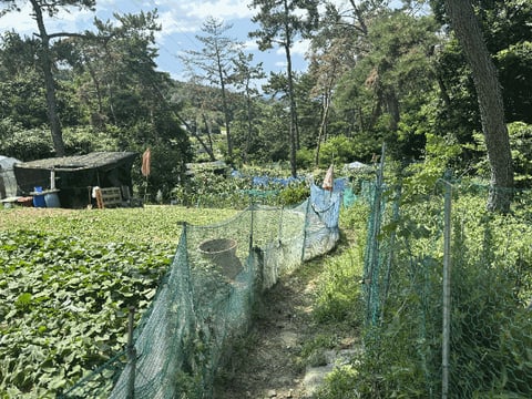 물건 사진 22