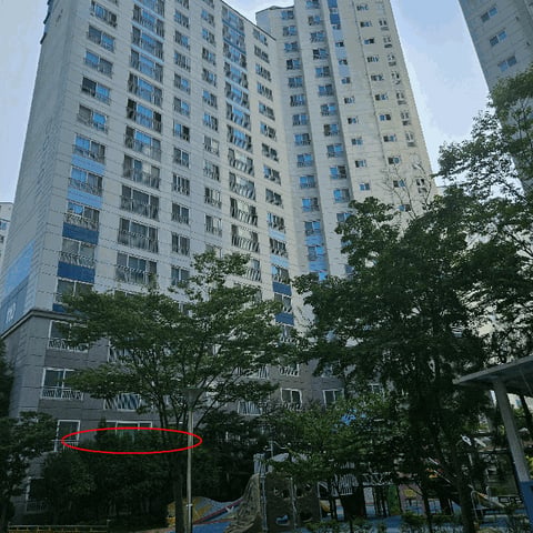 물건 사진 8