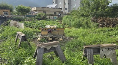 물건 사진 1