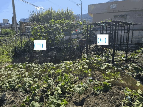 물건 사진 11