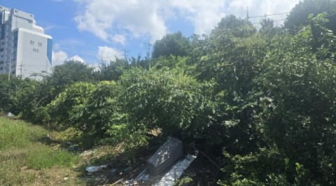물건 사진 12