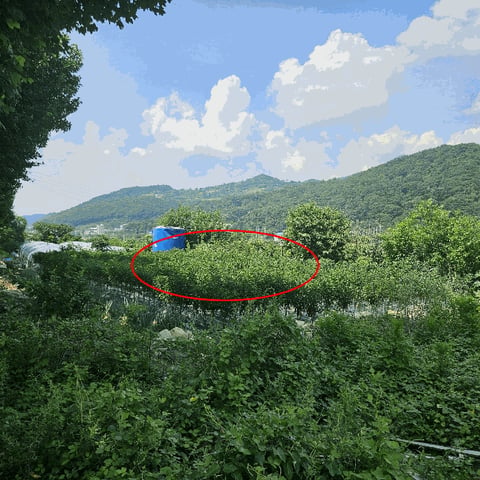 물건 사진 20