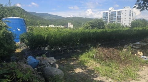 물건 사진 6