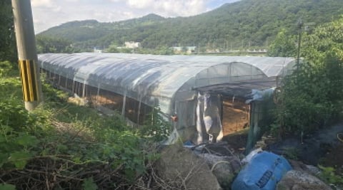 물건 사진 7