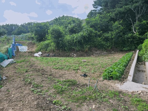 물건 사진 16