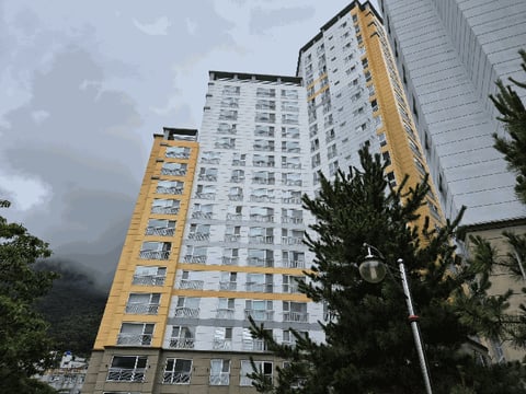 물건 사진 6